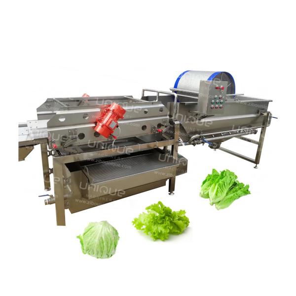 220v/ 380v/ Customized Salad Helix Washing Machine for Farms Fresh Cut