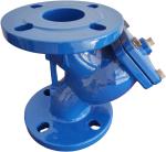OEM Ductile Iron Y Strainer 2 Inch With SS Screen