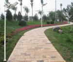 150W Solar Street Light for Recommended Installation 3-4m and Anti-Corrosion