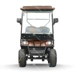 LSV 4 Searter Golf Cart Chinese OEM Maximum Performance Wholesale Electric