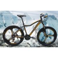 Buy cheap Integral Wheel Mountain Bike product