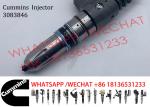 Common Rail Cummins Diesel Fuel N14 Injector 3083846 3609796 3095040