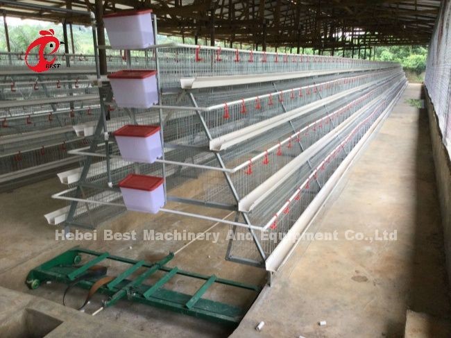 3 Tier 120 Birds And 4 Tier 160 Birds Layer Battery Cage System For Uganda Tanzania Poultry Farm Sandy