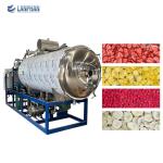 Commercial Vacuum Freeze Dryer For Fruit And Vegetable Food Freeze Dryer