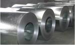 ISO9001 ASTM JIS Q195 Q215 Material Galvanized Steel Coil 50mm 200mm 500mm Width