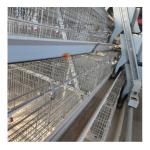 90-160 Birds H Type Chicken Cage Poultry Farming Design
