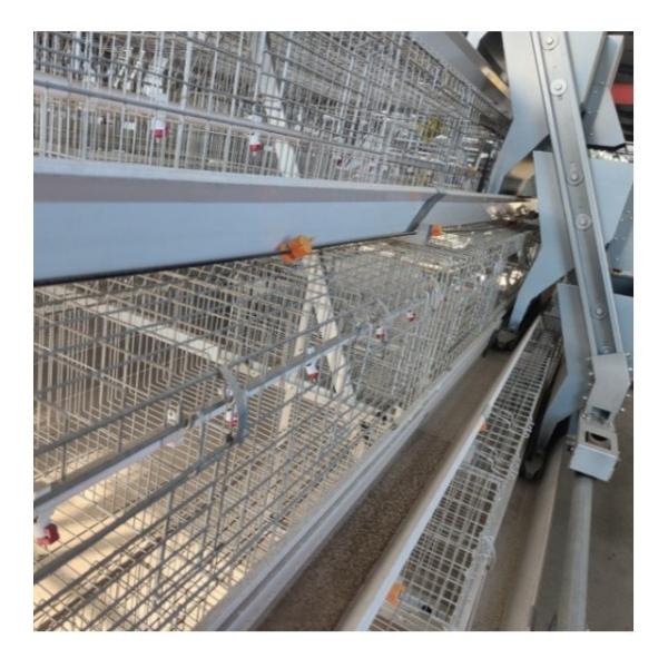 Buy cheap 90-160 Birds H Type Chicken Cage Poultry Farming Design from wholesalers
