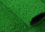 Straight PE 5/32" 10mm Pile Height Home Leisure Lawn Artificial Grass