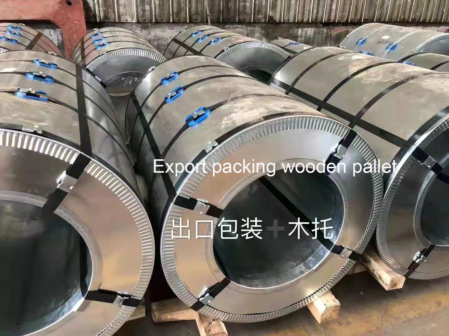 Ppgi Prepainted Galvanized Steel Sheet Coil Hot Dipped SGCC