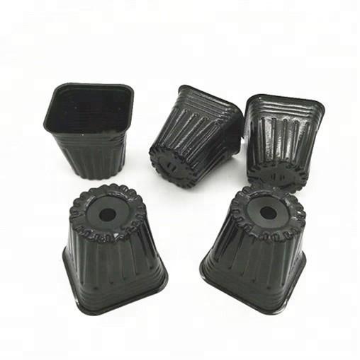 Buy cheap Black Plastic Square Pot For Succulent Orchid Cactus Plant from wholesalers