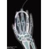 Buy cheap Transparency Dry Medical Imaging Film , Agfa Thermal Digital X Ray Film from wholesalers