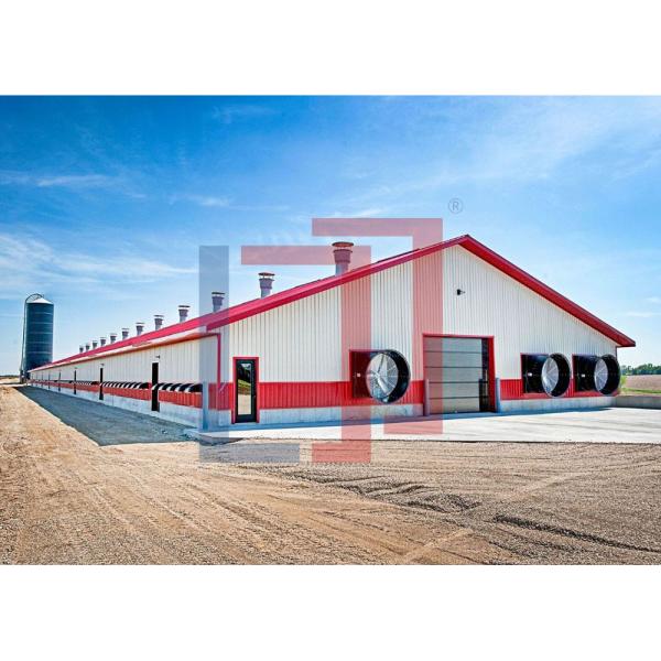Buy cheap Custom Modern Steel Frame House , High Strength Metal Chicken House from wholesalers