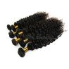 Buy cheap Unprocessed 5A Virgin Brazilian Curly Hair , 12" - 32" Human Hair from wholesalers