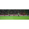 Buy cheap Super Brightness DIP 346 10mm Perimeter LED Display Boards for Outdoor Stadium Advertising from wholesalers