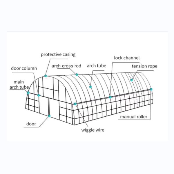 Film Cover 50x8m Single Span Type Agricultural Tunnel Greenhouse with 3.5-5M