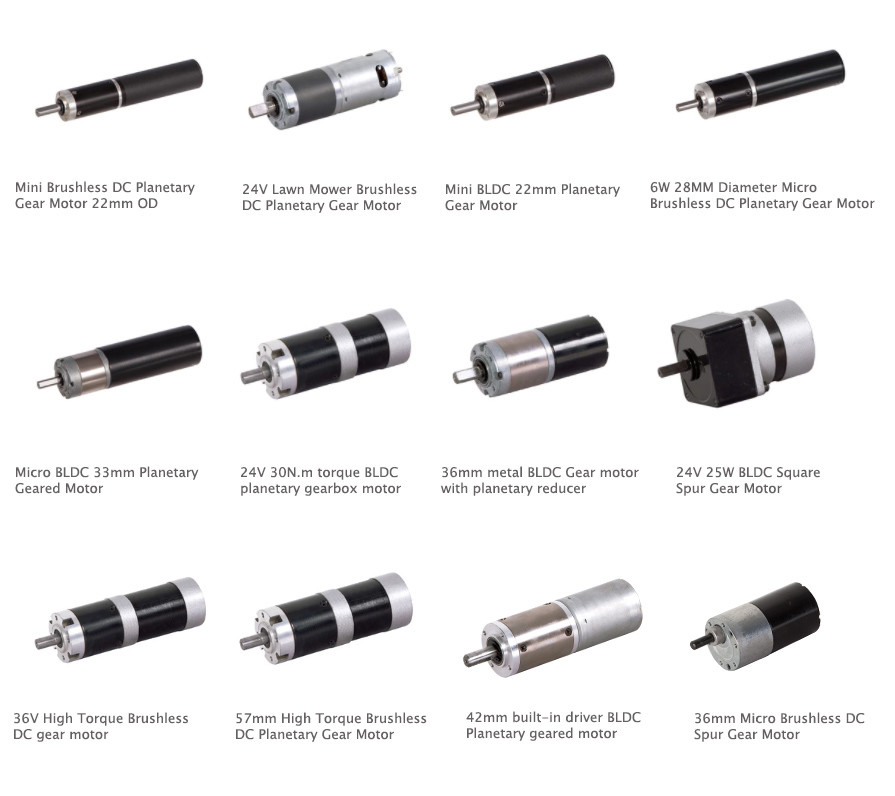 Ventilator Planetary BLDC Fan Motor 24V Brushless Speed 100rpm