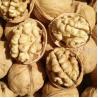 Buy cheap Hulled Walnut Newest Crop for Performance from wholesalers