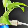 Buy cheap DC24V SMD2835 Transparent Led Strip Light 5050RGB For Pools from wholesalers