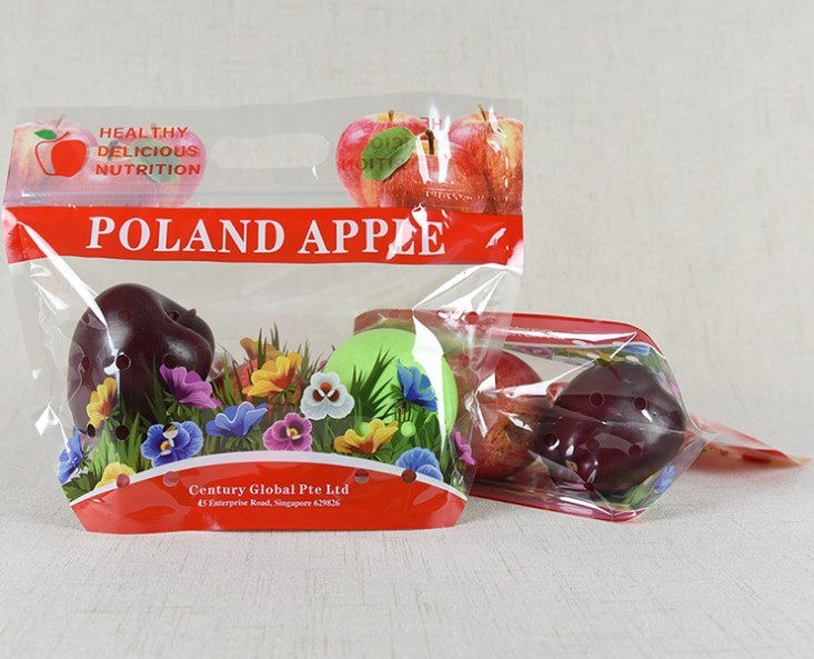 Standing Up Customized Colorful Zip-lock PET Laminated Packaging Bags for fruit and Vegetables Packing