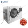 Buy cheap Small Size Food Fruit Milk Pharmaceutical Lyophilizer Freeze Dry Machine For Home from wholesalers