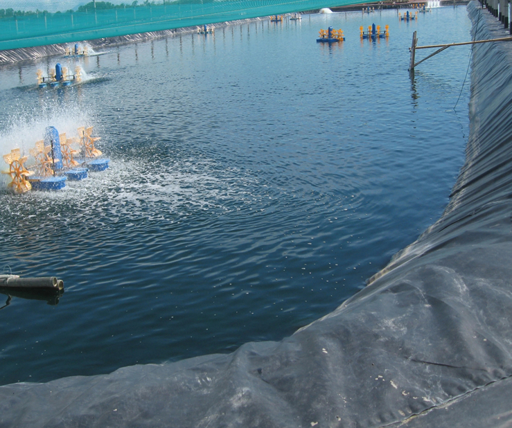 300 Micron 500 Micron 750 Micron Geomembrane Pond Liner for Reservoir Length 50m-200m/roll