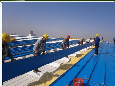 Low Carbon Steel Frame Warehouse Storage Food Plant Sustainable Steel Buildings