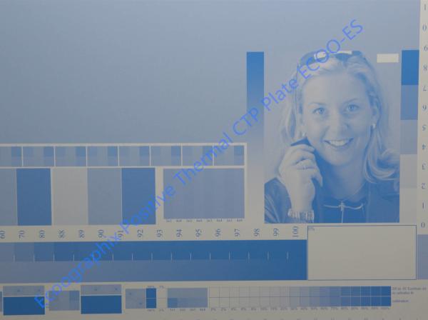 Buy cheap 0.40mm Positive CTP Thermal Plate For Large Format Advertising Press from wholesalers