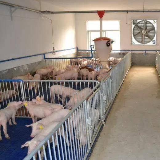 Buy cheap PVC Livestock Farming Equipment 304 For One Stop Pig Farm Project Purchase from wholesalers
