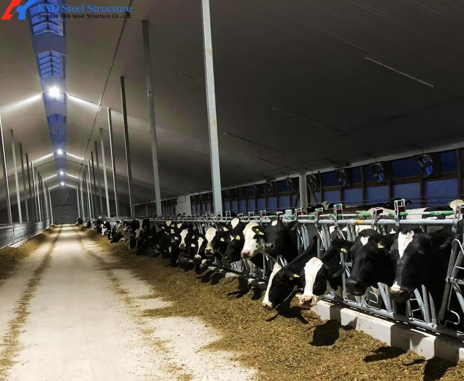 Livestock Shelter Dairy Farm Barn Custom Steel Structure Cow Shed For Live Cattle