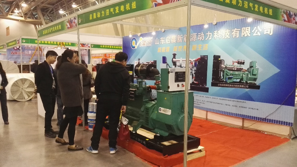 Portable Natural Gas Generator Natural Gas Generator for Sale