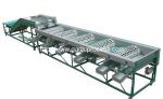Automatic Garlic Grader Machine for Sale