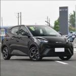 Electric Byd Seagull 2024 Electric Cars Hatchback The Blade Battery Byd EV Car