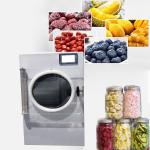 2-4Kg Input FKitchen Freeze Dryer