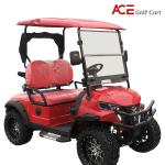 Four Wheel Disc Brakes Golf Cart Buggy 40km/H Max Speed Artificial Leather Seats
