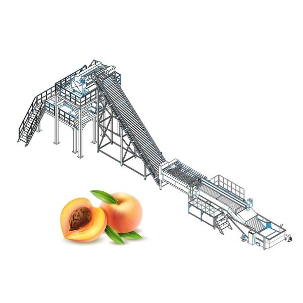 Buy cheap Ce Standard Peach Apricot Fruit Processing Equipment from wholesalers