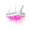 Buy cheap Dual Chip LED Plant Grow Light Strong Brightness With Long Lifespan 600W - 2000W from wholesalers