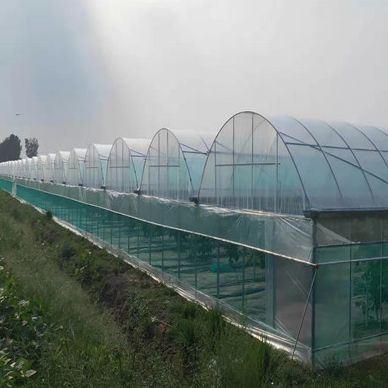 Buy cheap jx-fg-42 Steel Structure Anti-Drip Fogging Film Greenhouse for Single-Film Hydroponic from wholesalers