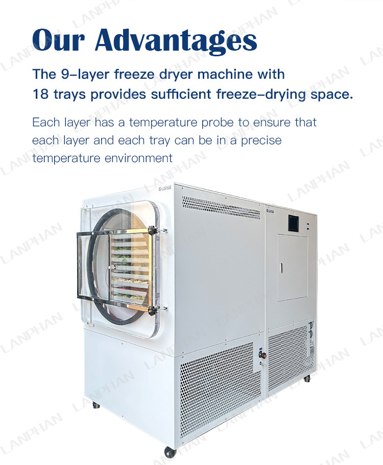 5M2 9-Layer Commercial Freeze Dryer Lyophilizer Fruit Vacuum Freeze Drying Machine