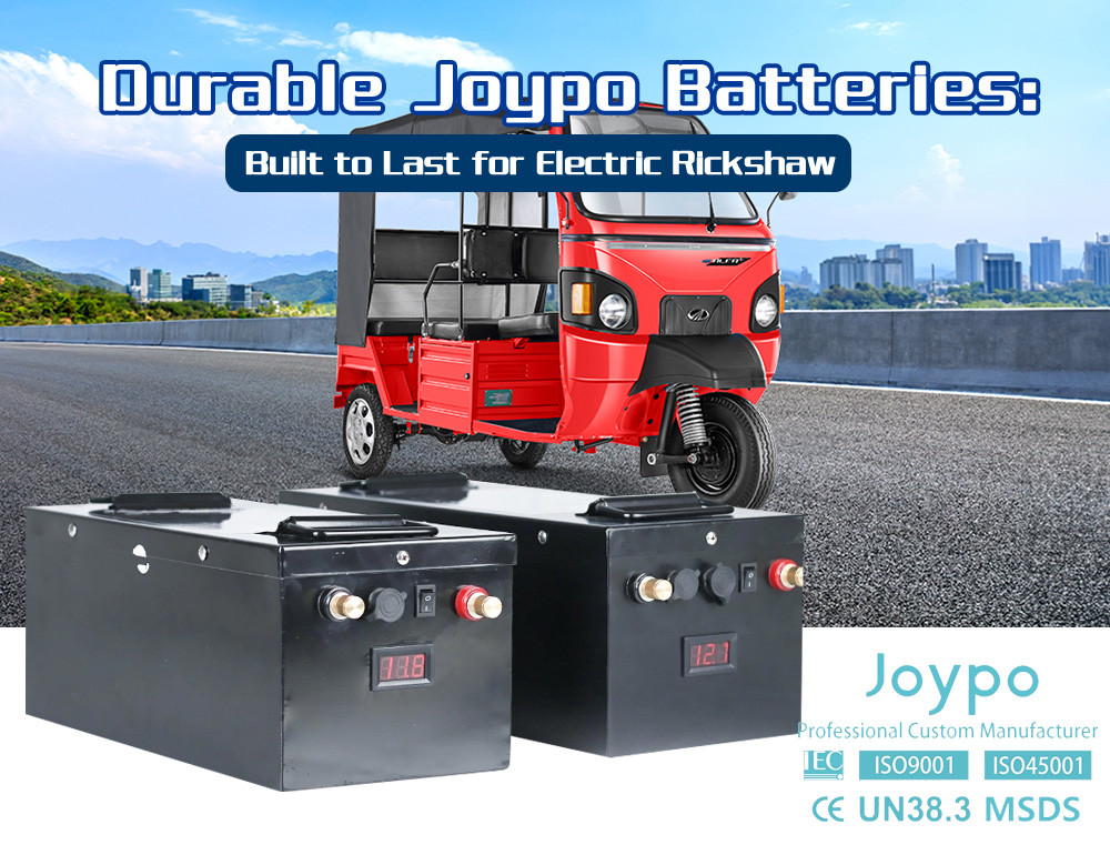 50Ah 100Ah 150Ah 200Ah 48V Lithium LiFePO4 Battery For Auto Rickshaw And Electric Powered Cargo Truck