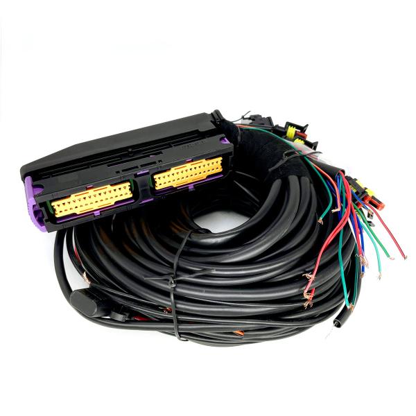 Buy cheap Multipoint CNG LPG Automotive Wiring Harness 56 Pin For 6 Cylinder ECU from wholesalers