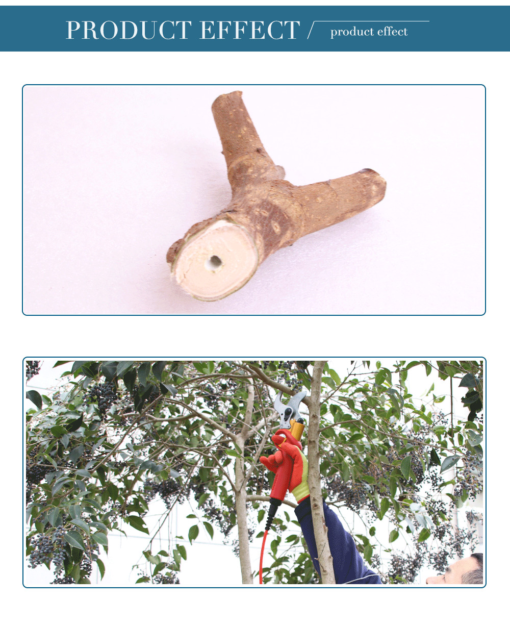 Swansoft 4.0CM Electric Pruner Lithium Power Electric Pruning Shear with CE Certificate for Vineyard and Orchard
