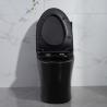 Buy cheap Iapmo Bathrooms Toilets Matte Black 1 Piece Dual Flush Toilet Elongated Siphonic Ceramic from wholesalers