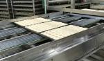 304 Stainless Steel Straight Pan Conveying Slat Chain Conveyor