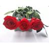 Buy cheap High-quality fresh preserved flowers ecuador long stem preserved rose wholesale gift from wholesalers