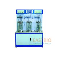 Buy cheap Multiple Autoclavable Bioreactors Magnetic Stirred Glass Fermenter Pt-100 Probe product
