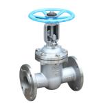 Water Media DN50-16P Stainless Steel Open Stem Gate Valve with Chinese Standard