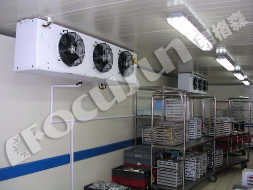 Compressor Refrigeration System Frozen Cold Room for Frozen Product Preservation