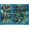 Buy cheap Eco Friendly Euro Panel Fencing Convenient Installation 4x4 5x5 6x6mm from wholesalers