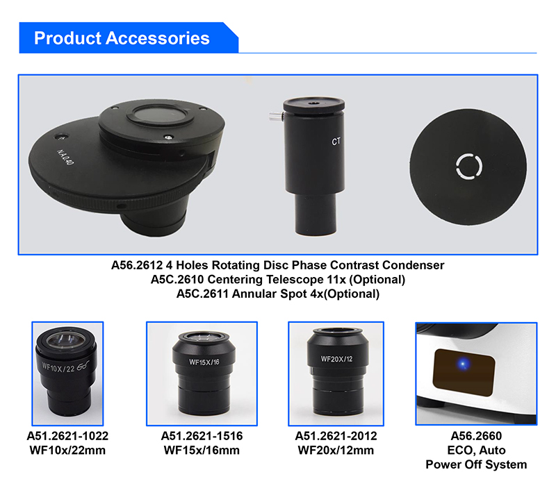Inverted Fluorescence Led Digital Microscope
