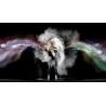 Buy cheap 3D Hologram Film Musion Pepper Ghost Eyeliner Foil For Stage Show from wholesalers